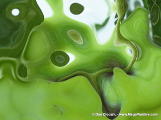 Green Meeting - abstract art