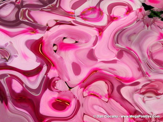 Pink Zoo - abstract art